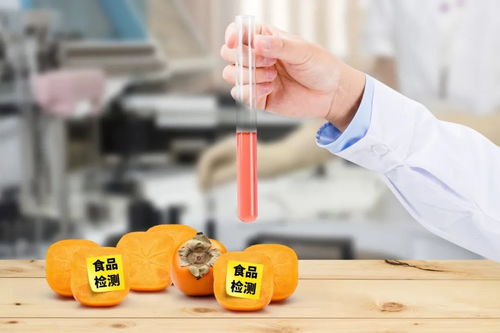 史上最嚴(yán)《四川省中小學(xué)校食品安全管理辦法》正式實(shí)施，守護(hù)學(xué)生餐飲服務(wù)安全