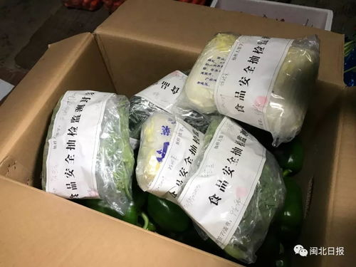 南平節(jié)日市場農(nóng)副產(chǎn)品銷售專項行動今晨啟動